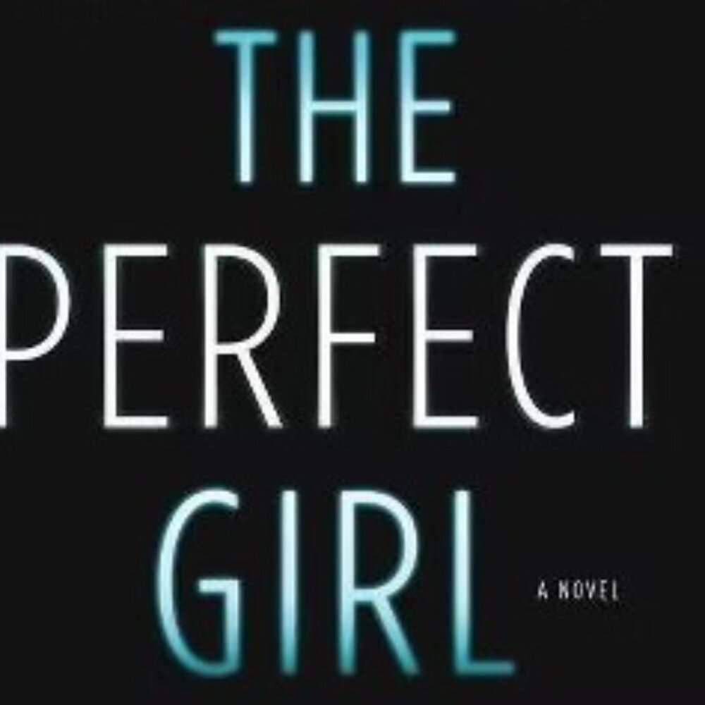 The Perfect Girl Paperback EUC